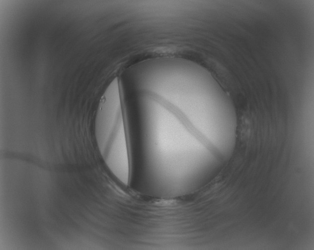 X0000051910428200506241108