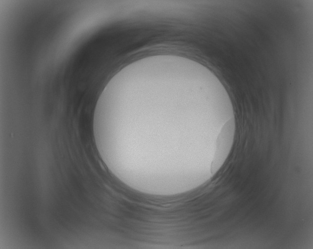 X0000051910431200506241108
