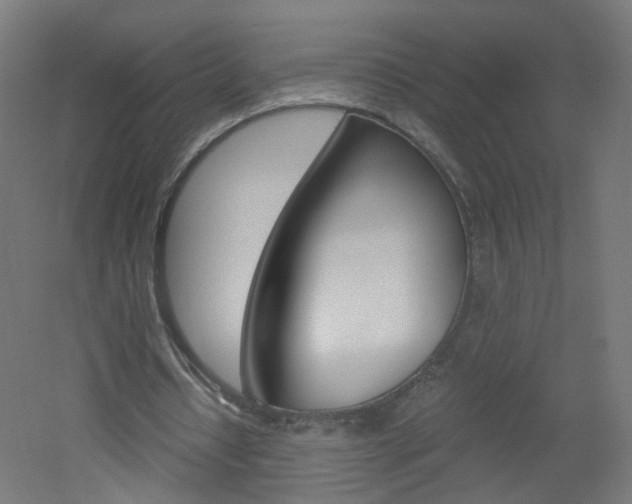 X0000051910434200506241107