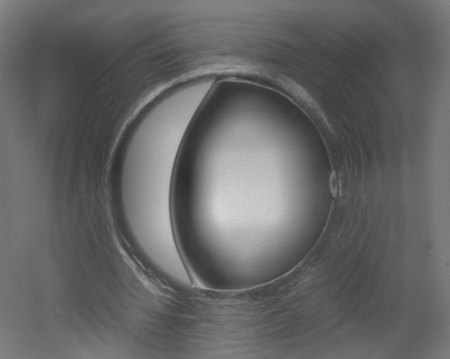 X0000051910436200506241107