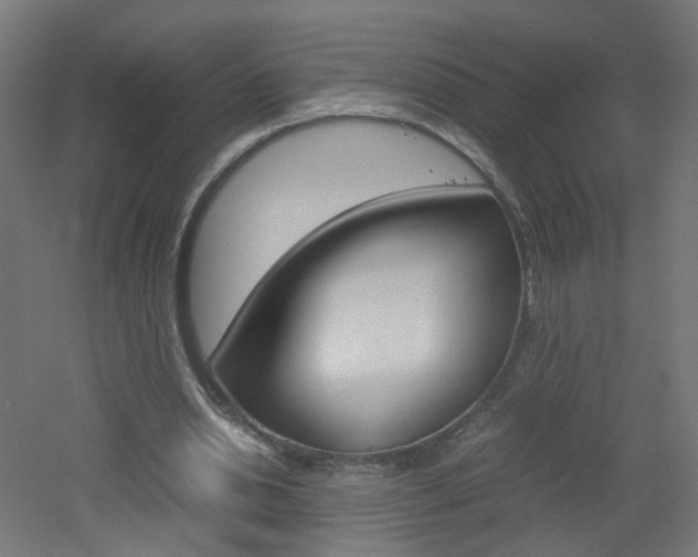 X0000051910438200506241107