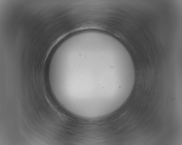 X0000051910440200506241107