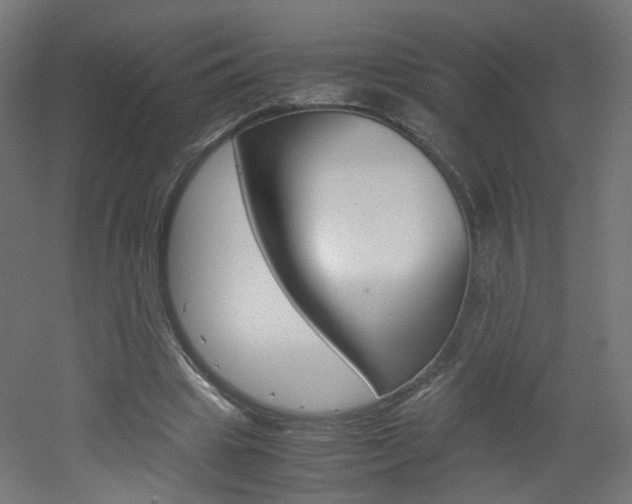 X0000051910441200506241107