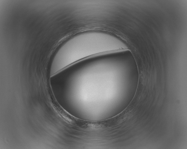 X0000051910442200506241107