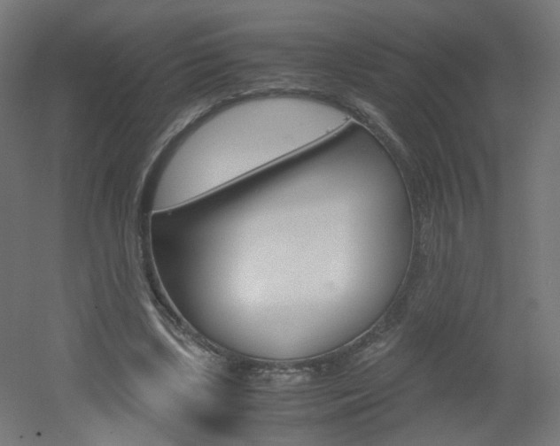 X0000051910443200506241107