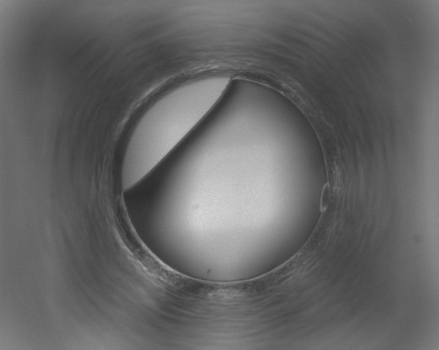 X0000051910444200506241107