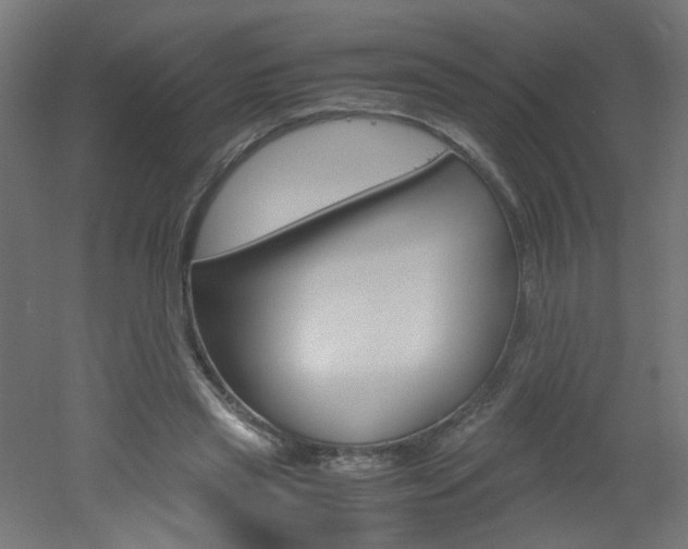X0000051910445200506241107