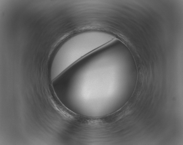 X0000051910446200506241107
