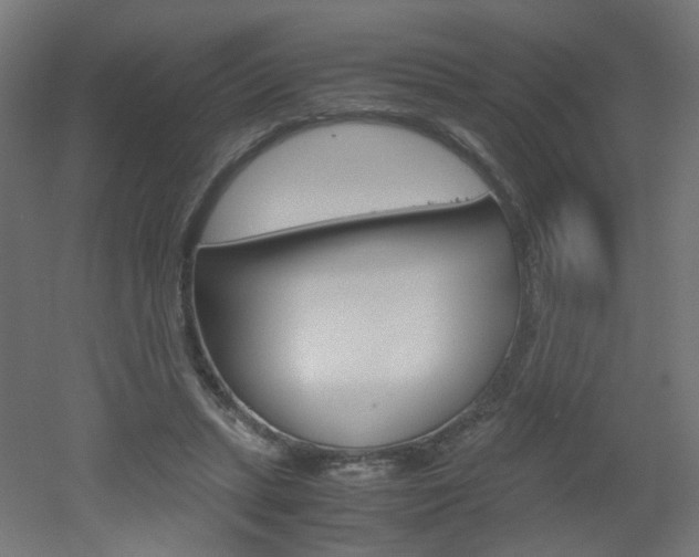 X0000051910447200506241107