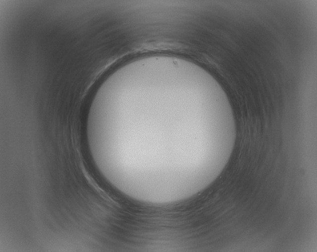 X0000051910448200506241107