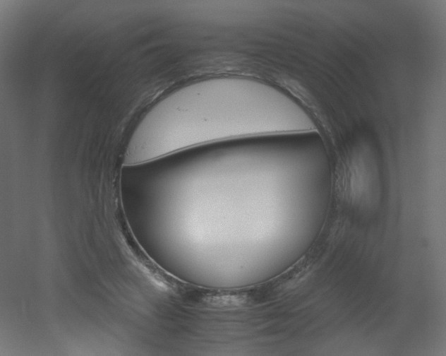 X0000051910449200506241107