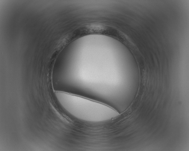 X0000051910451200506241107
