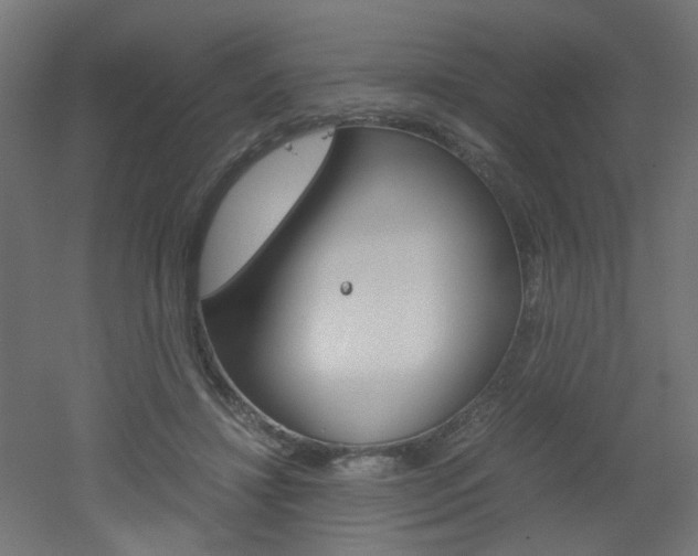 X0000051910452200506241107