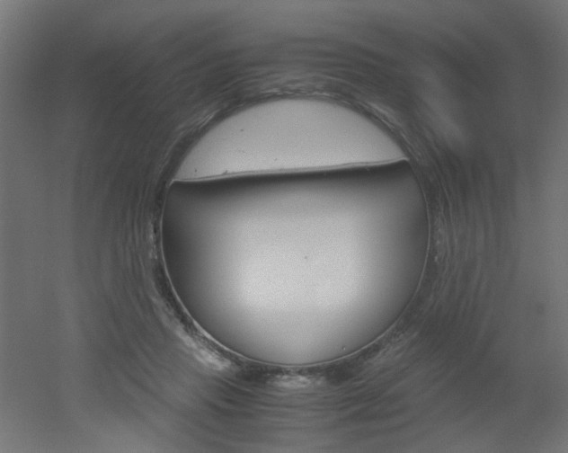 X0000051910453200506241107