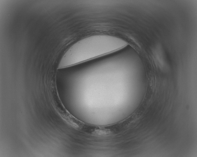 X0000051910455200506241107