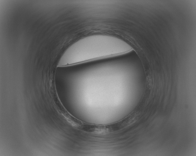 X0000051910458200506241107