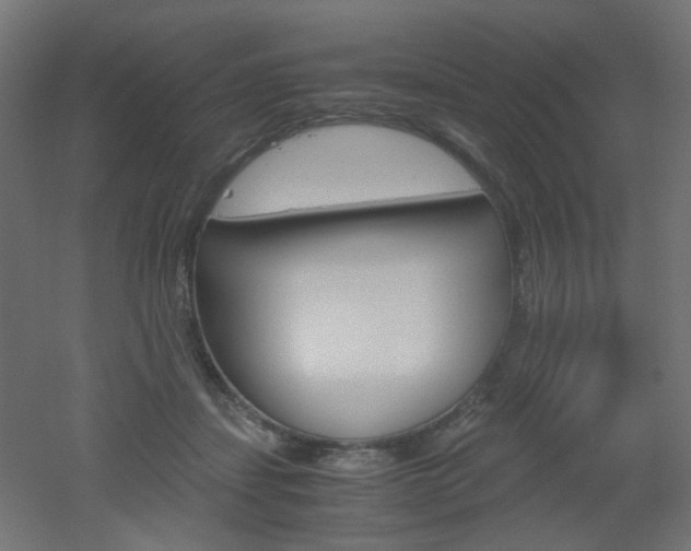 X0000051910459200506241107