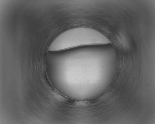 X0000051910461200506241107
