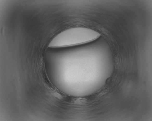 X0000051910463200506241108
