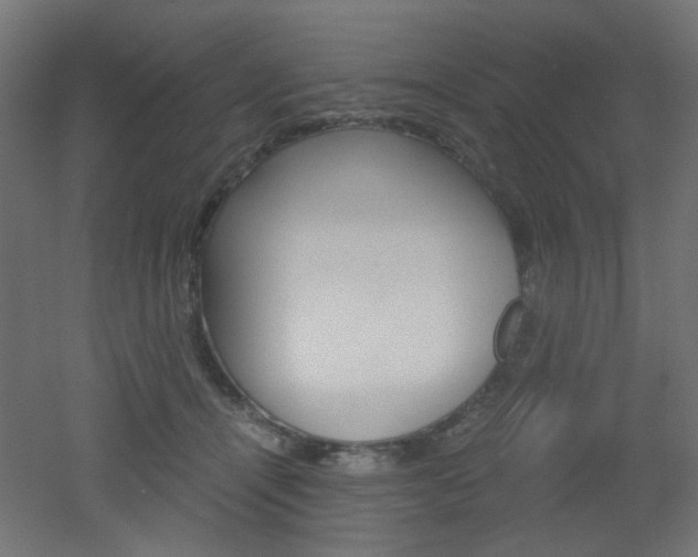 X0000051910464200506241108