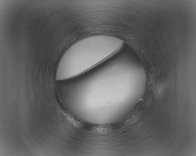 X0000051910466200506241108
