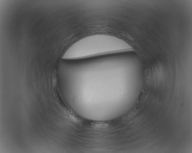 X0000051910471200506241108