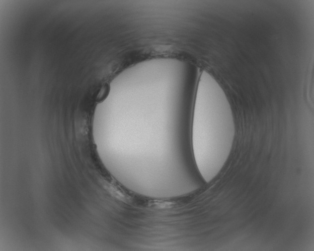 X0000051910472200506241108