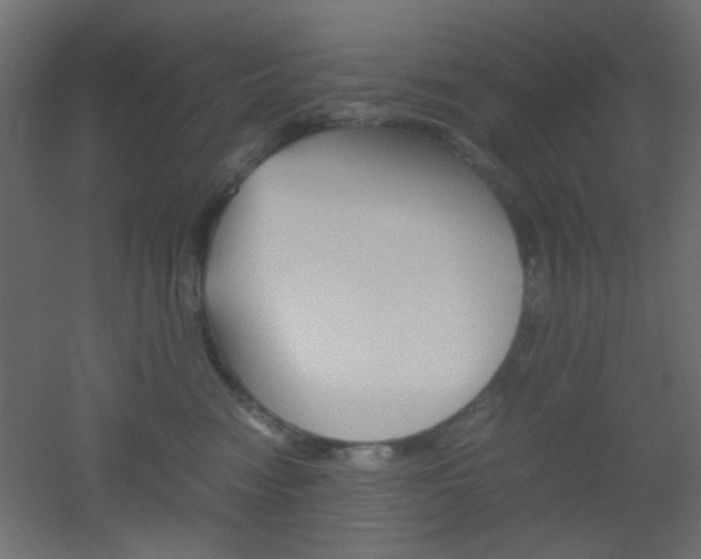 X0000051910474200506241108