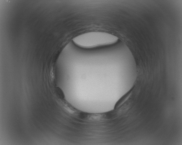 X0000051910479200506241108