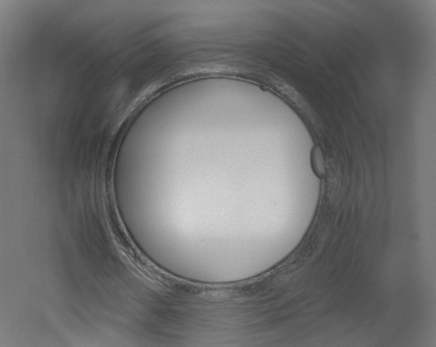 X0000051910482200506241107
