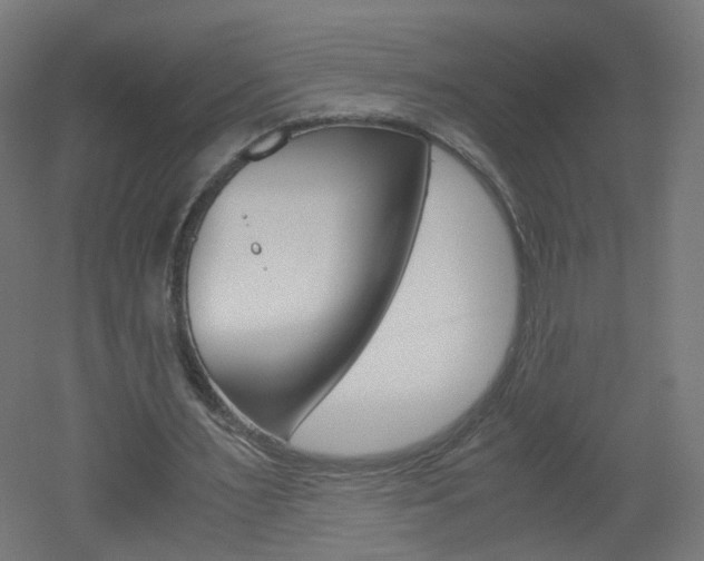 X0000051910483200506241107