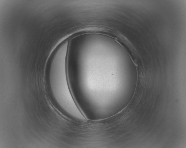 X0000051910484200506241107