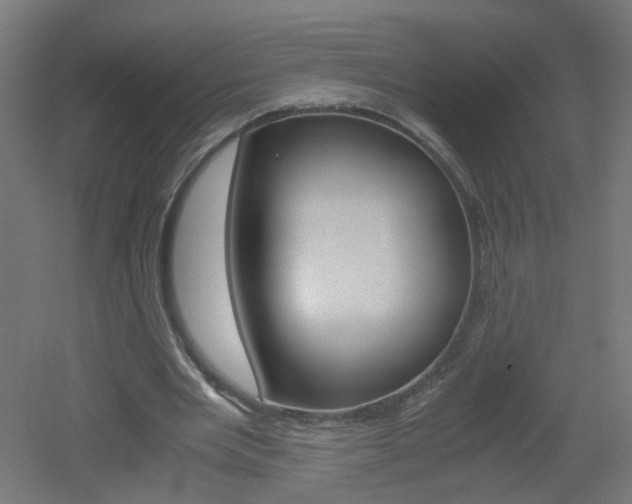 X0000051910485200506241107