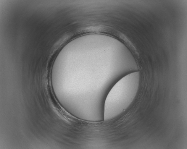X0000051910486200506241107