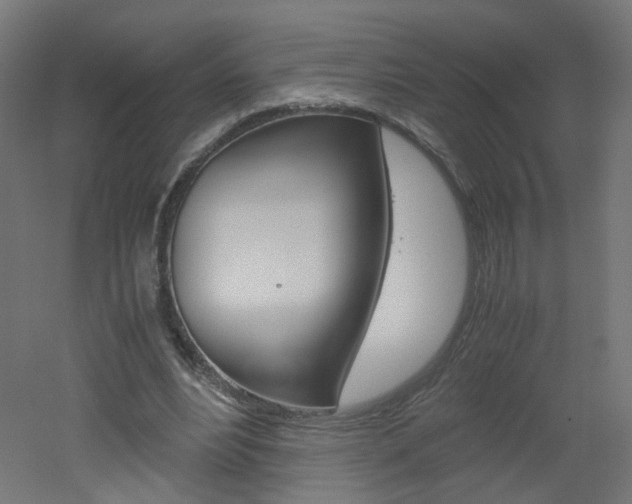 X0000051910488200506241107