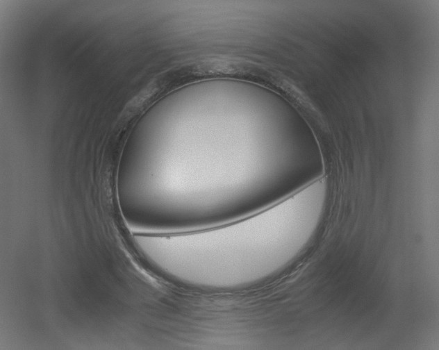 X0000051910489200506241107