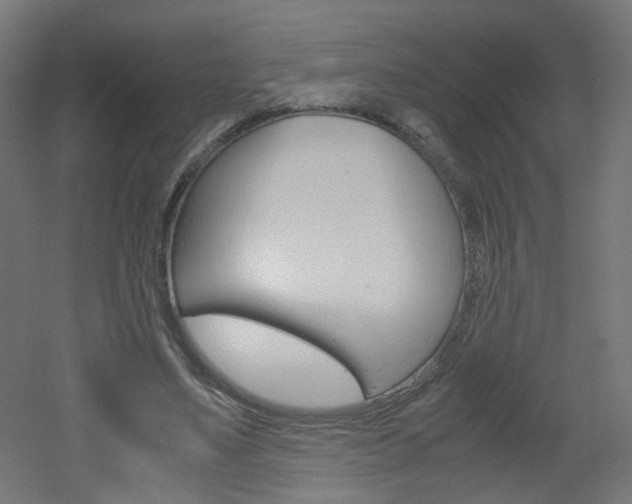 X0000051910491200506241107