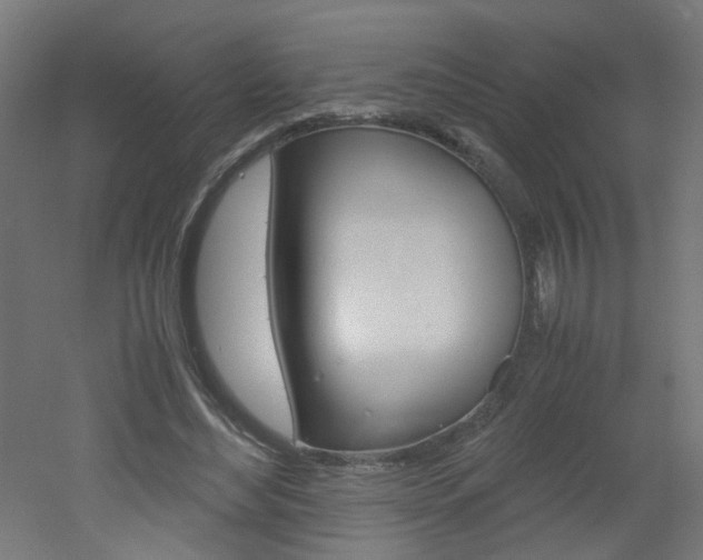 X0000051910492200506241107