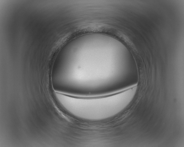 X0000051910493200506241107