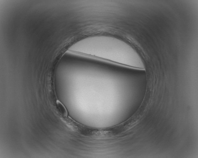 X0000051910497200506241107