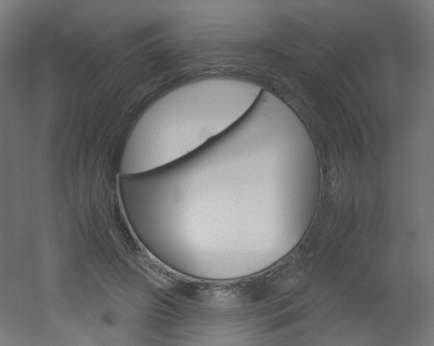 X0000051910498200506241107