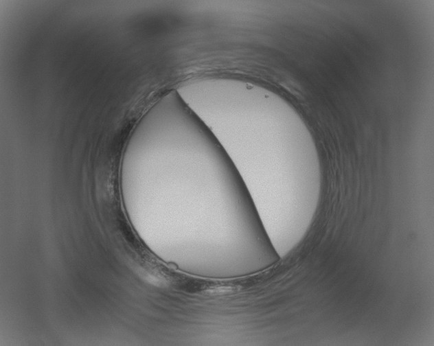 X0000051910499200506241107
