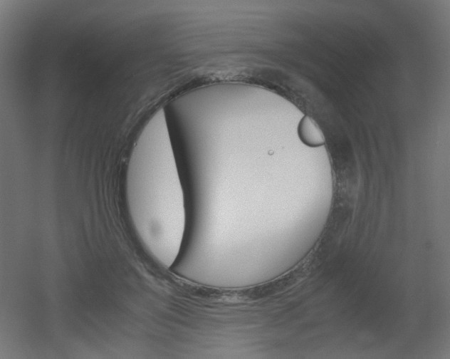 X0000051910503200506241107