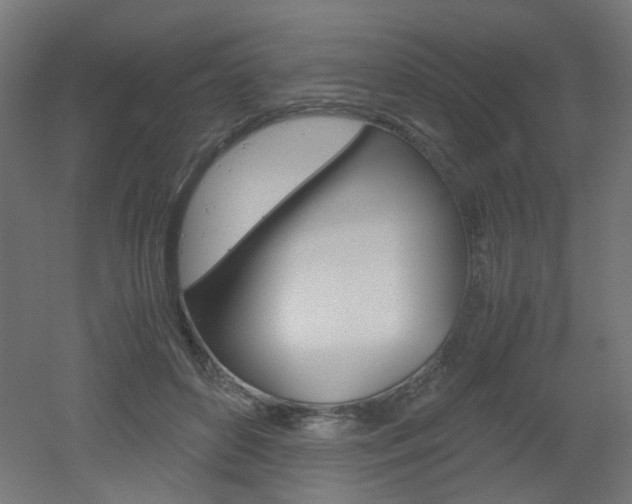 X0000051910504200506241107