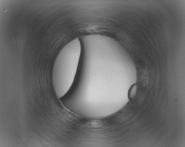 X0000051910506200506241107