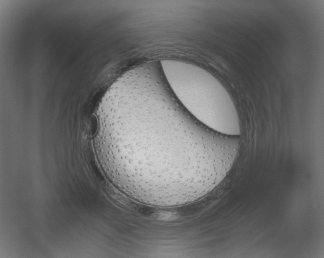 X0000051910507200506241107