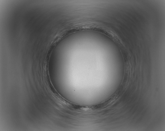 X0000051910509200506241107