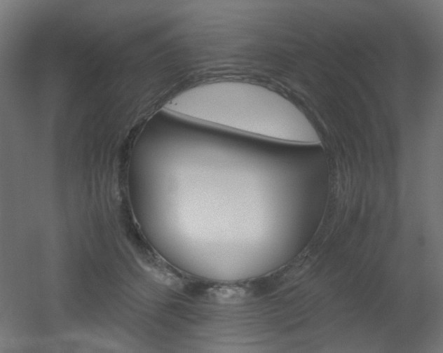 X0000051910512200506241106