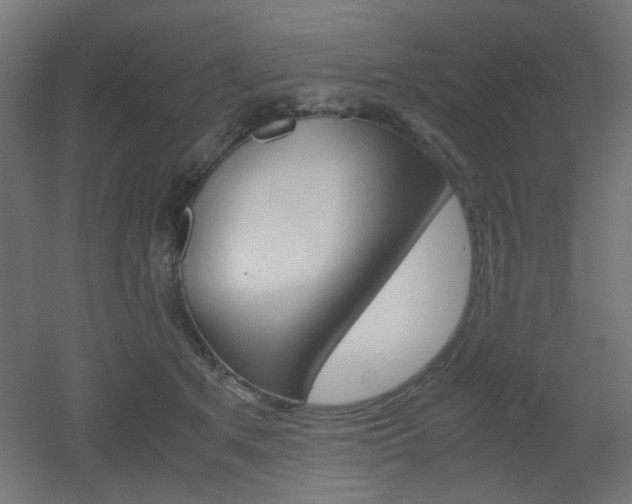 X0000051910513200506241106