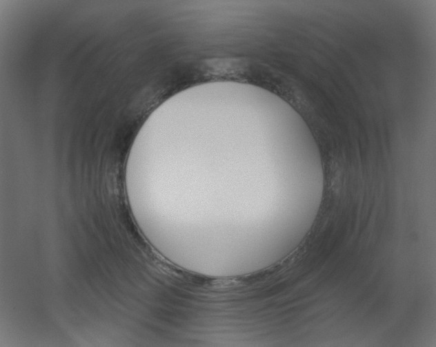 X0000051910514200506241106